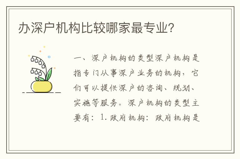 辦深戶機構比較哪家最專業？