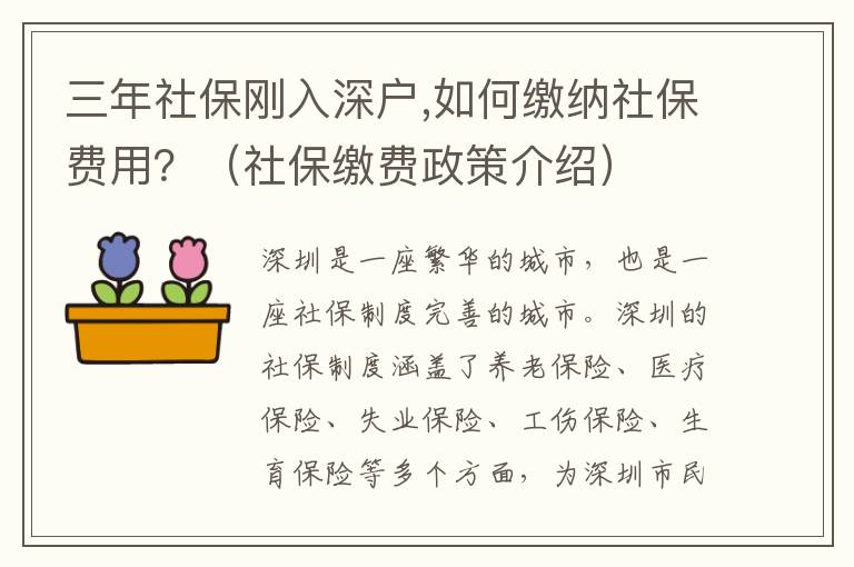 三年社保剛?cè)肷顟?如何繳納社保費(fèi)用？（社保繳費(fèi)政策介紹）