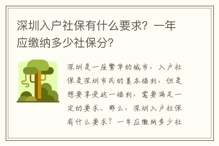 深圳入戶社保有什么要求？一年應(yīng)繳納多少社保分？