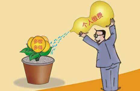 個人繳社保需要多少？應該如何繳納？ 第1張