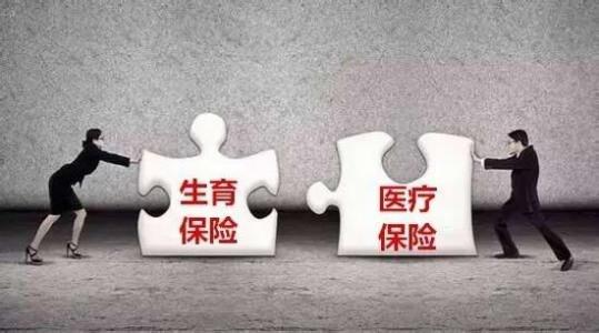 生育保險與醫療保險即將合并？ 第1張