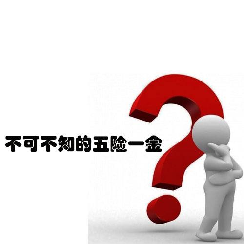 我們為什么要繳納五險一金？ 第1張