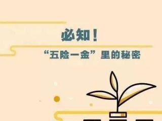 一個人能交兩份社保嗎?