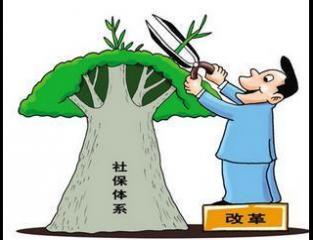 個(gè)人繳納社保和公司繳納的社保有何不同？