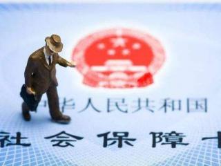 社會(huì)保險(xiǎn)綜合查詢(xún)