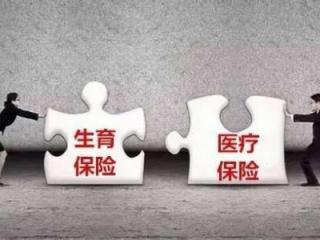 生育保險與醫療保險即將合并？
