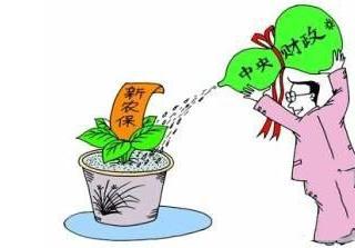 新農(nóng)保怎么繳費？