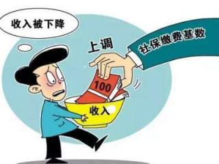 【社保】最新社保政策