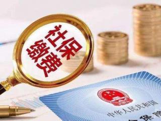 社保繳費個人繳費金額是多少？