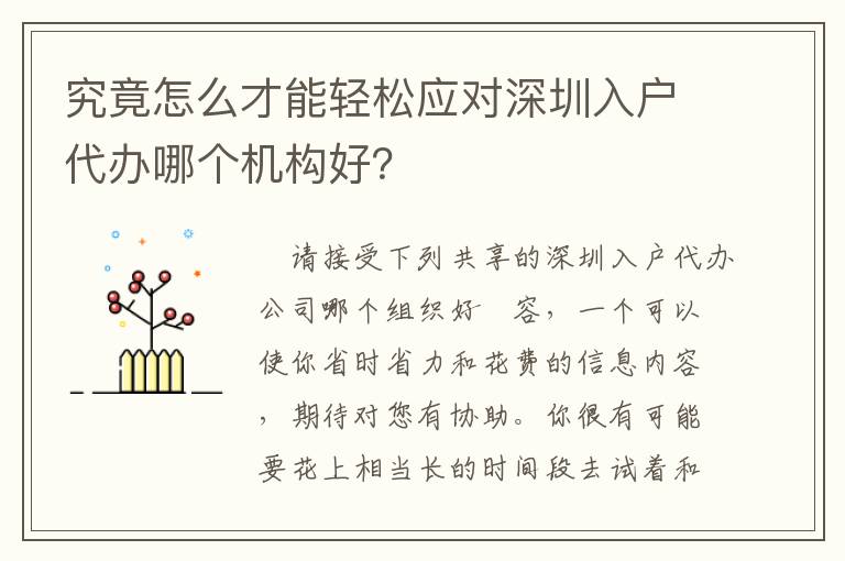 究竟怎么才能輕松應(yīng)對(duì)深圳入戶(hù)代辦哪個(gè)機(jī)構(gòu)好？