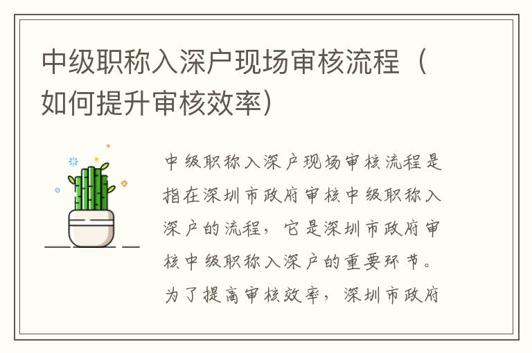 中級職稱入深戶現(xiàn)場審核流程（如何提升審核效率）