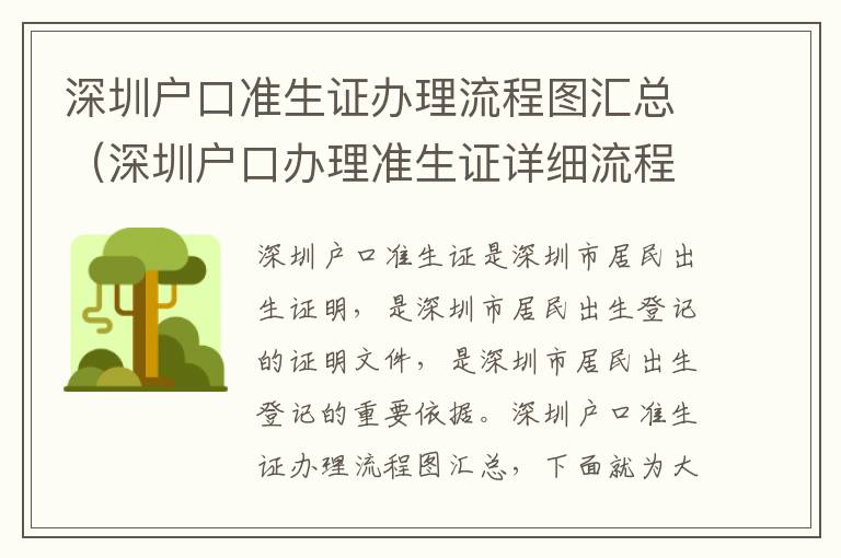 深圳戶口準(zhǔn)生證辦理流程圖匯總（深圳戶口辦理準(zhǔn)生證詳細(xì)流程）