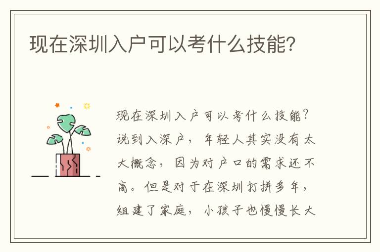 現(xiàn)在深圳入戶(hù)可以考什么技能？
