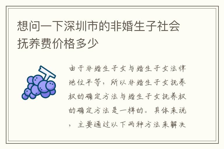 想問(wèn)一下深圳市的非婚生子社會(huì)撫養(yǎng)費(fèi)價(jià)格多少
