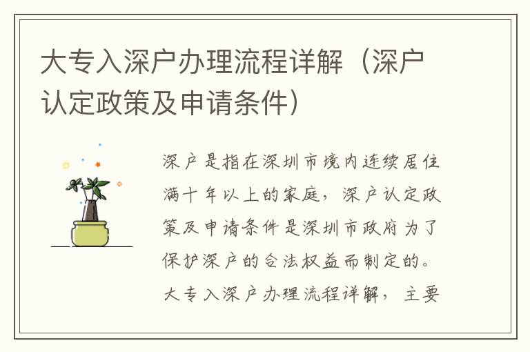 大專(zhuān)入深戶(hù)辦理流程詳解（深戶(hù)認(rèn)定政策及申請(qǐng)條件）
