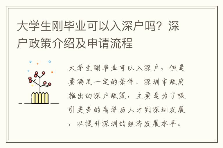 大學生剛畢業(yè)可以入深戶嗎？深戶政策介紹及申請流程