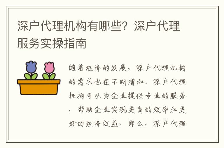 深戶代理機(jī)構(gòu)有哪些？深戶代理服務(wù)實(shí)操指南
