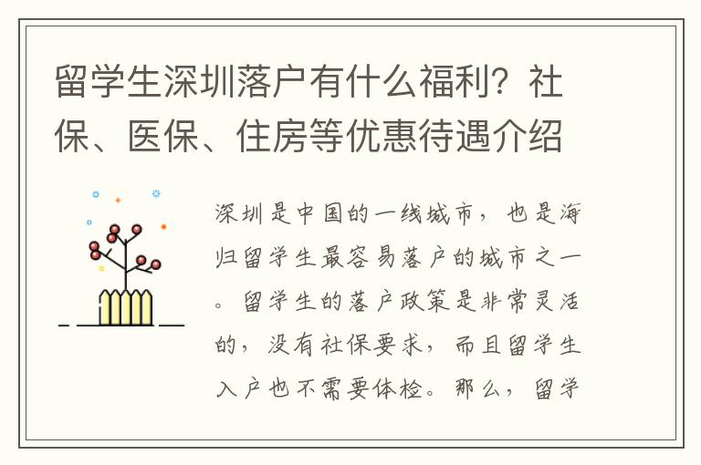 留學生深圳落戶有什么福利？社保、醫保、住房等優惠待遇介紹