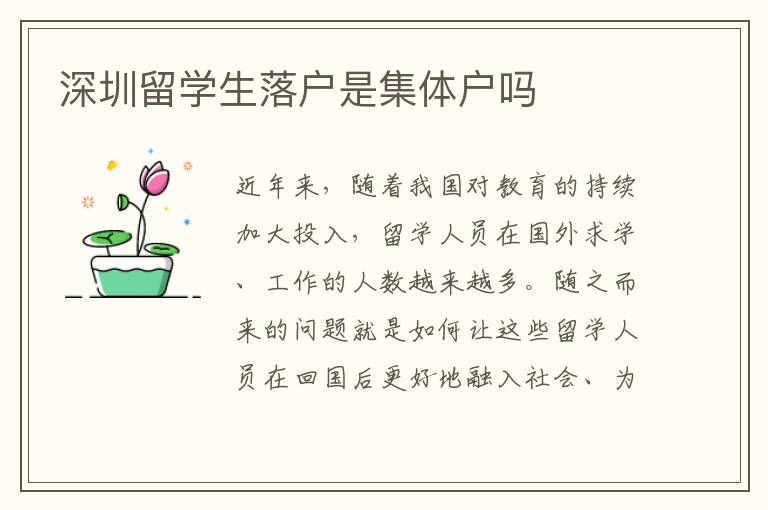 深圳留學生落戶是集體戶嗎