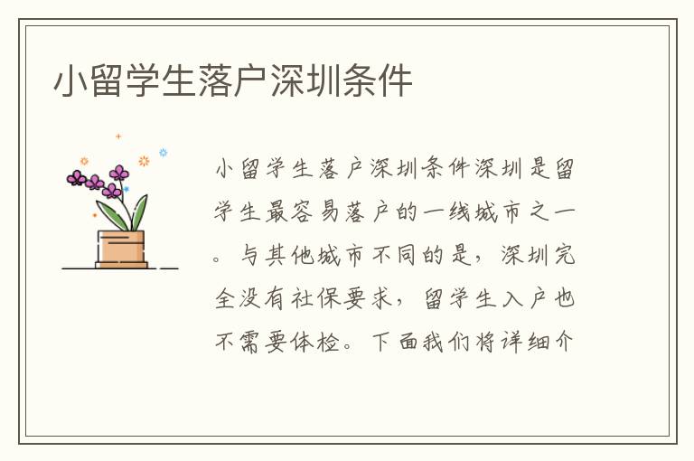 小留學生落戶深圳條件