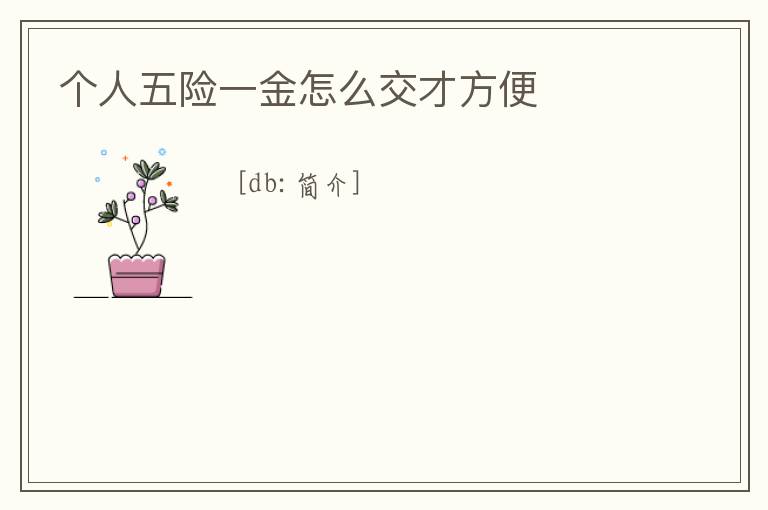 個人五險一金怎么交才方便