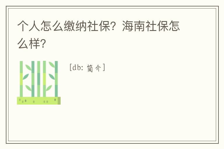 個人怎么繳納社保？海南社保怎么樣？