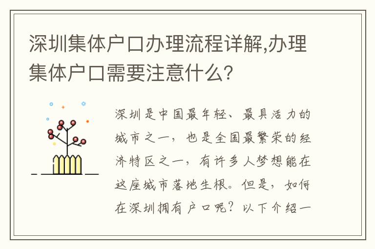 深圳集體戶口辦理流程詳解,辦理集體戶口需要注意什么？