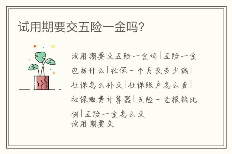 試用期要交五險一金嗎？