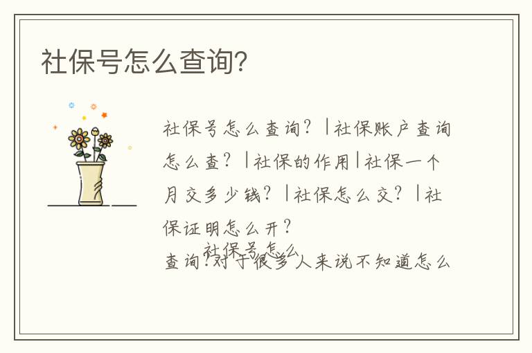 社保號怎么查詢？