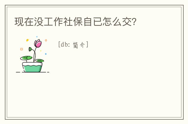 現在沒工作社保自已怎么交？