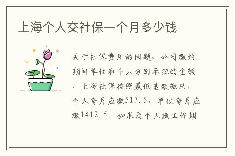 上海個人交社保一個月多少錢