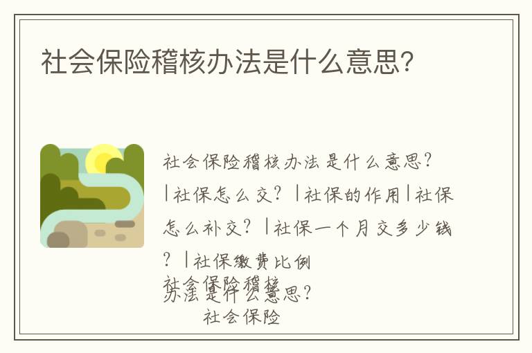 社會保險稽核辦法是什么意思？