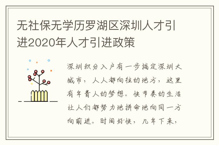 無社保無學(xué)歷羅湖區(qū)深圳人才引進(jìn)2020年人才引進(jìn)政策