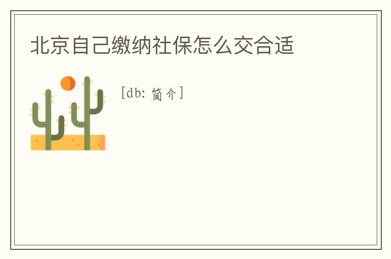 北京自己繳納社保怎么交合適
