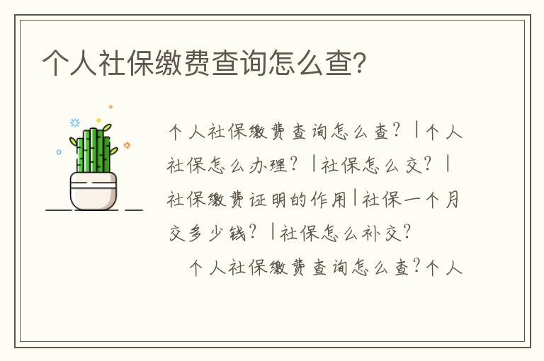 個人社保繳費(fèi)查詢怎么查？