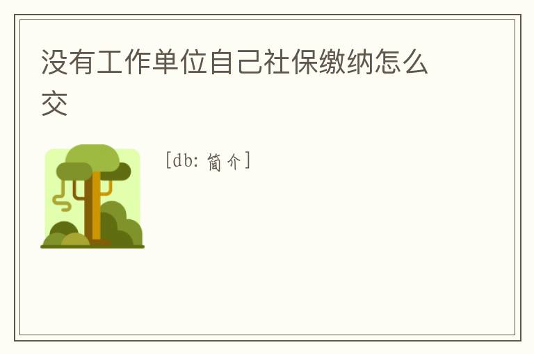 沒(méi)有工作單位自己社保繳納怎么交
