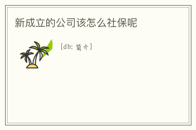 新成立的公司該怎么社保呢