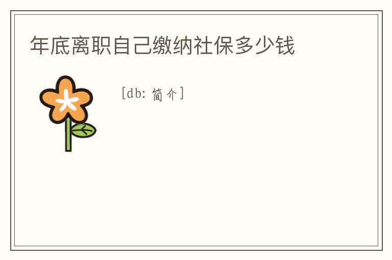 年底離職自己繳納社保多少錢(qián)