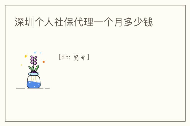 深圳個人社保代理一個月多少錢