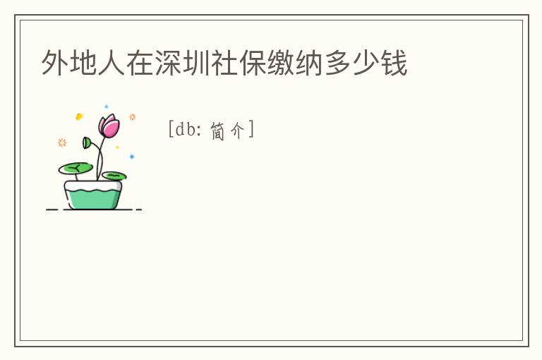外地人在深圳社保繳納多少錢