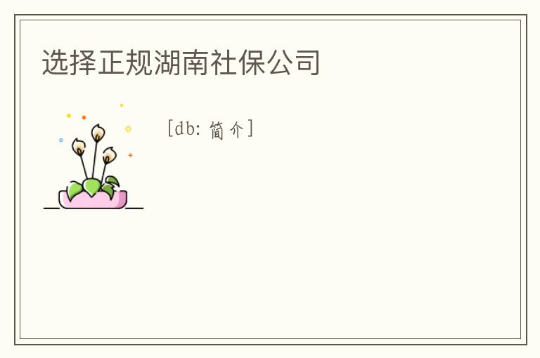 選擇正規湖南社保公司
