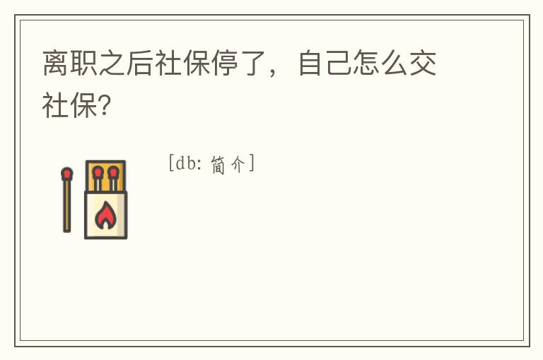 離職之后社保停了，自己怎么交社保？