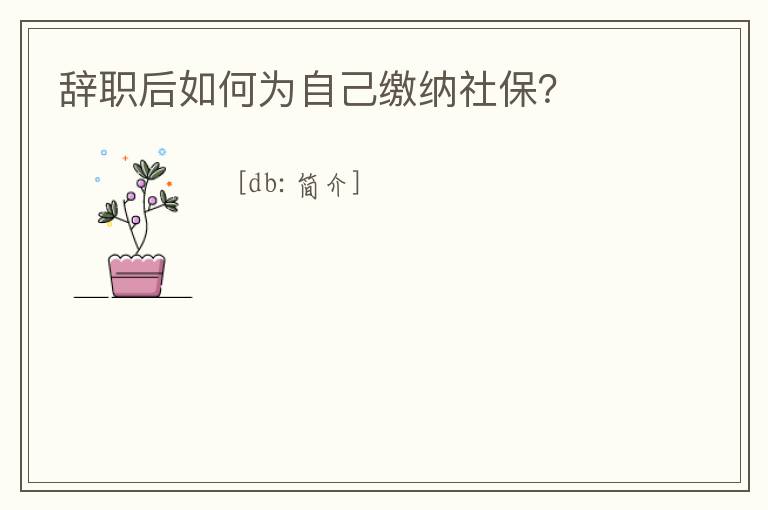 辭職后如何為自己繳納社保？