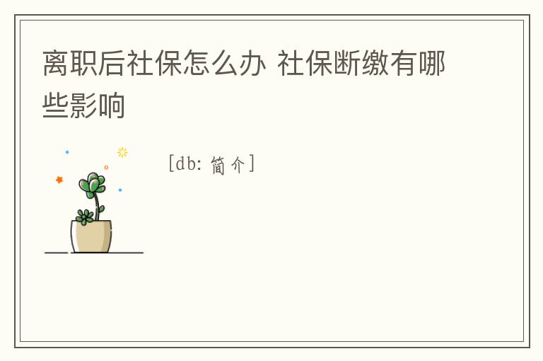 離職后社保怎么辦 社保斷繳有哪些影響