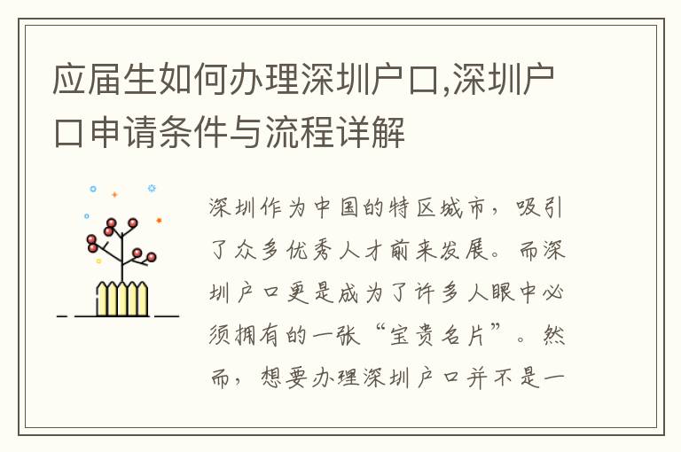 應屆生如何辦理深圳戶口,深圳戶口申請條件與流程詳解