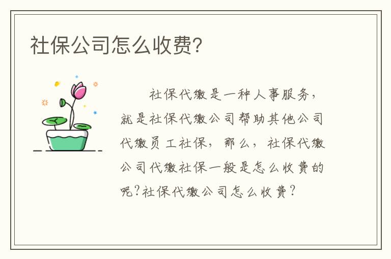 社保公司怎么收費(fèi)？