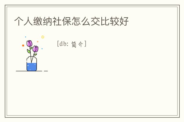 個人繳納社保怎么交比較好
