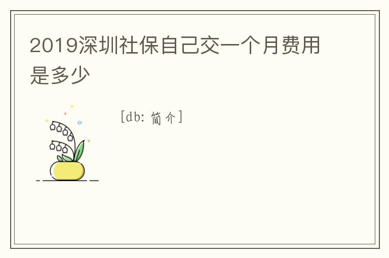 2019深圳社保自己交一個月費(fèi)用是多少