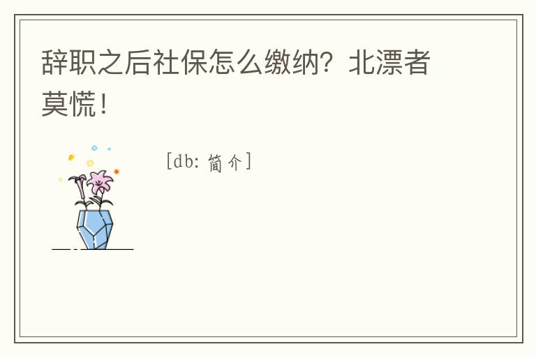 辭職之后社保怎么繳納？北漂者莫慌！
