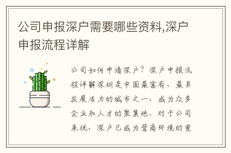 公司申報深戶需要哪些資料,深戶申報流程詳解